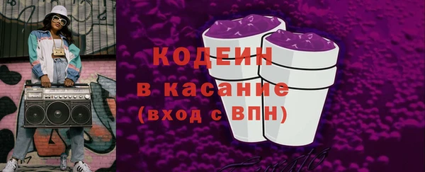 гашик Козельск