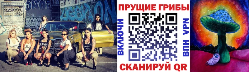 Псилоцибиновые грибы Psilocybine cubensis  где продают наркотики  Белово 